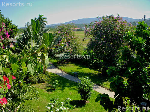 Sandals Montego Bay 8